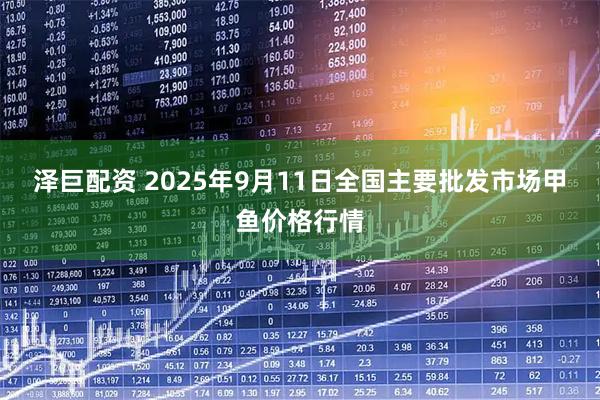 泽巨配资 2025年9月11日全国主要批发市场甲鱼价格行情